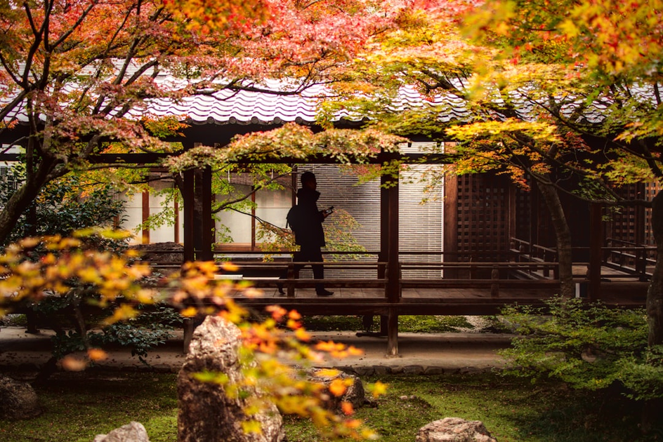 Aman Kyoto resort featuring traditional Japanese pavilion architecture with zen garden and autumn foliage, demonstrating cultural integration and natural harmony