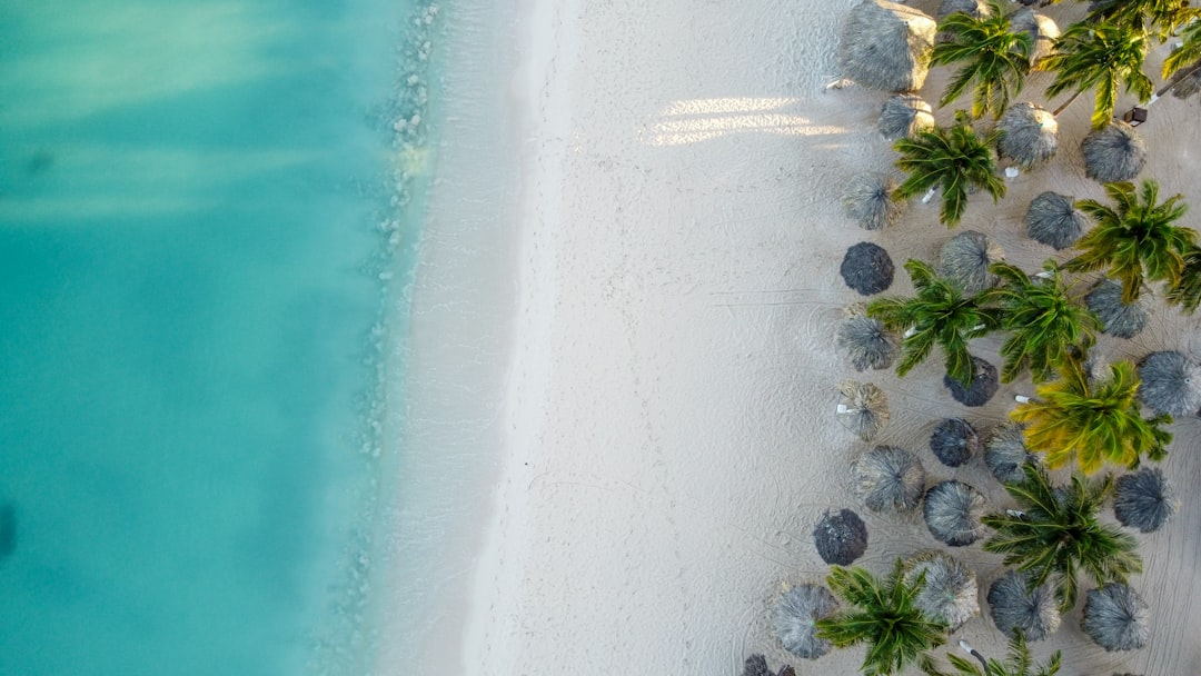 Aerial view of a pristine beach at a luxury five-star all-inclusive resort in the Caribbean with infinity pools and tropical landscaping